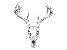 My tattoo life is a supplier of tattoo supplies. Deer Easy Skull Tattoo Design Easy Deer Tattoos Easy Tattoos Crayon