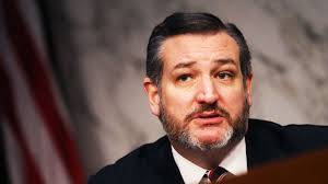 Ted cruz showed exclusive video of a woman he identified as a biden administration staffer blocking him from recording at a migrant facility on sunday morning futures. cruz and sen. Ted Cruz S Space Pirates Comments Top This Week S Internet News Roundup Wired