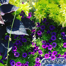 925 likes · 1 talking about this · 104 were here. Studio 539 Flowers Home Facebook
