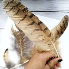 Birds Of A Feather New Vegas Big Real Feathers Owl Feather Biggest Feathers Eagle Owl In 2020 Dream Catcher Gifts Owl Feather Feather