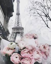 Paris In Spring Paris Wallpaper Flower Wallpaper Paris Photography
