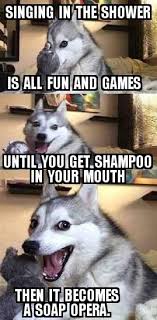 Omgomgomgomgomgomgomgoooooooooommmmmmmmmmgggggggosshhhh Funny Animal Jokes Funny Dog Memes Animal Jokes
