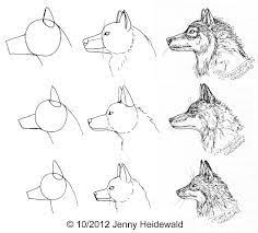 Realistic Husky Drawings Step By Step Google Search Dieren Tekenen Wolf Tekeningen Paard Tekeningen