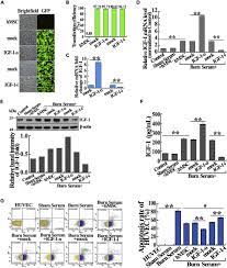 We did not find results for: Down Regulation Of Mir 301a 3p Reduces Burn Induced Vascular Endothelial Apoptosis By Potentiating Hmsc Secreted Igf 1 And Pi3k Akt Foxo3a Pathway Sciencedirect