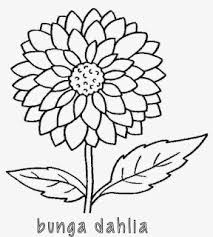 Gambar bunga 2 dimensi hitam putih. Lukisan Flora Hitam Putih Cikimm Com