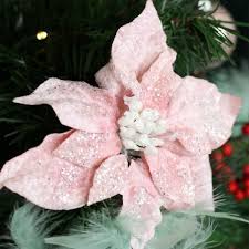 4.15.19 flowering dogwood specialty cut flowers. Weihnachtsstern Poinsettia Auf Clip Puderrosa Kranze Zweige Eminza