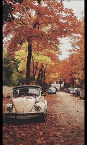 Autumn Tumblr Wallpaper Fall Wallpaper Tumblr Christmas Aesthetic Fall Wallpaper It's where your interests connect you with your people.