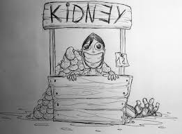 I Don T Play Pk But These Kidney Jokes Never Get Old Forhonor A wide variety of kidney cartoon options are available to you, such as material, pattern type, and style. i don t play pk but these kidney jokes