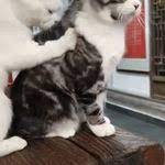 gif funny he was blinded by her beauty funny gif funny memes funny