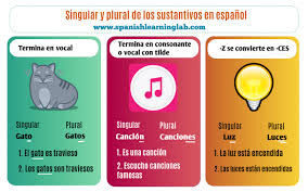 The Basic Rules For The Plural Of Spanish Nouns