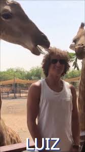 You must log in to continue. Video Des Tages Giraffe Knabbert An David Luiz Locken Kleinezeitung At