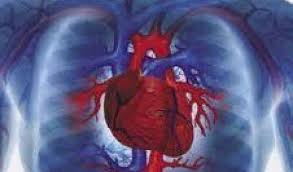 Types of Heart Disease - Mighty Guide