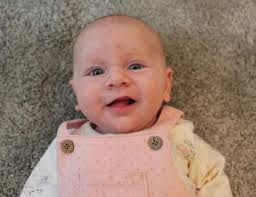 Five of the finest adorable little newborn babies in Dorset