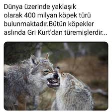akemi takashi adli kullanicinin ilginc bilgiler panosundaki pin gizli bilgi biliyor muydunuz bilgi