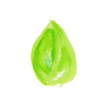 葉 Sui Sai 水彩画イラストフリー素材集