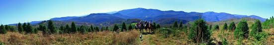 Image result for horseback banner elk