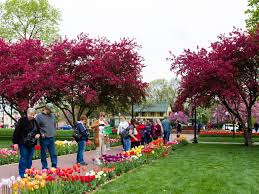Looking to rent an rv in pella, iowa? Photos 84th Annual Tulip Time Festival In Pella Iowa Photos Mankatofreepress Com