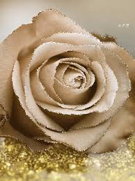 Pin De Yvonne Batten Em Gif Roselove Rosamor Flores Bonitas Rosas Lindas Rosas Vermelhas