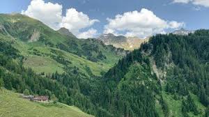 Ausblick Auf Der Naviser Almenrunde C Tirol Werbung Jannis Braun In 2020 Touren Alm Ausblick