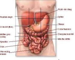 De Ce Doare Burta In Dreapta Cabinet De Gastroenterologie Si Hepatologie Dr Ditoiu Alecse Valerian Bucuresti