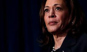 Picking a US vice-president candidate Democrats about to strike back