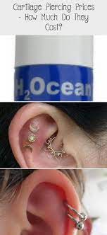 Preise Fur Knorpelpiercing Wie Viel Kosten Sie Piercings Willst Du Wirkli In 2020 Cartilage Piercing Cartilage Piercing Stud Ear Piercings