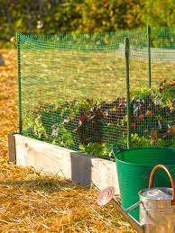 Rabbit Repellent Natural Options In The Garden Gardeners Com Garden Fencing Garden Fence Garden Fence Panels