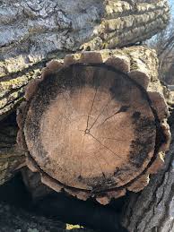 Discuss local firewood deals and rip offs. Does This Look Like Cottonwood To You Firewood Hoarders Club