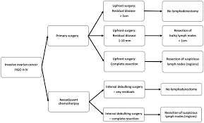 Treatment for ovarian cancer by stage is contingent upon specific factors including: How To Manage Lymph Nodes In Ovarian Cancer Harter 2019 Cancer Wiley Online Library