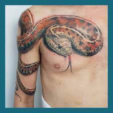 Often found to be popular among men, you could however find. Amazing Color Realism Snake Made Nova Art Tattoo Studio Facebook