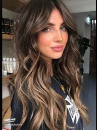 recent hair inspo!!🤎🐻