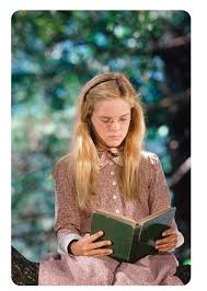 Little House On The Prairie Board Petite Maison Maison