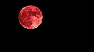 Rare Blood Moon To Light Up North America; Here's When and How To Watch the Total  Lunar Eclipse - edhat