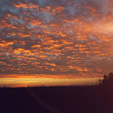 We did not find results for: Nh60 Sunset Sky Cloud Vacation Nature Red Flare Wallpaper