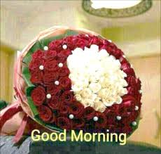 Good morning image with flower 1. 500 Beautiful Good Morning Images With Quotes Hd Photos For Whatsapp