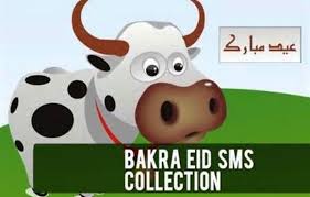 You can buy from uk, usa, canada, australia, germany, europe, new zealand buy camel for qurbani. Latest Funny Bakra Eid Eid Ul Azha Sms Text Messages