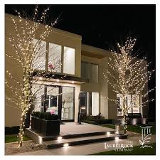 Modern Led Tree Lighting In 2020 Christmas Tree Delivery Holiday Lights Outdoor Holidays
