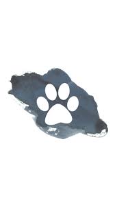 Instagram Highlight Cover Dog Icon Instagram Highlight Icons Dog Cover Photo