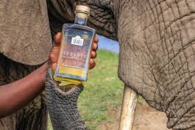 Minuman Alkohol Ini Dibuat Dari Saringan Kotoran Gajah Uss Feed
