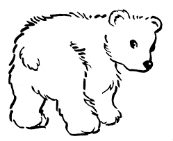 Polar bear color page luxury excellent baby polar bear coloring. Pin By Cathy Leahy On Baby Room Polar Bear Coloring Page Bear Coloring Pages Polar Bear Color