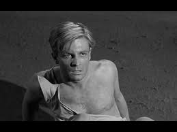 I recently read a biography about grant williams (who i knew next to nothing about) by giancarlo stampalia, and it's a fascinating portrait of an unheralded, talented actor and melancholic loner. The Incredible Shrinking Man 1957