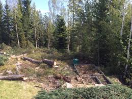 Image result for site:byggahus.se naturtomt