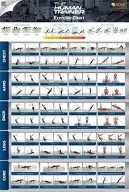 Image Result For Iron Gym Pull Up Bar Workout Chart
