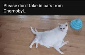 The Best Chernobyl Memes Memedroid