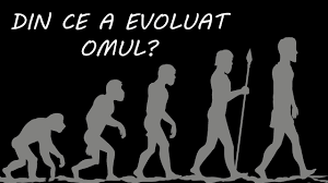 Evoluția umană este procesul evolutiv care conduce la apariția oamenilor moderni din punct de vedere anatomic. Afla Cum A Aparut Omul Pe Pamant Si Din Ce A Evoluat Youtube