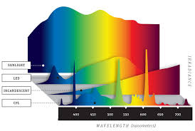 Lighting Supply Blog A Little Light Reading Lighting Supply