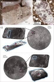 Image result for Blendtone Gray 1977 Hussmann