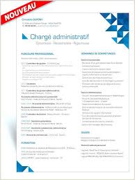 Exemple De Cv Assistant Commercial Et Administratif In 2020 Resume Design Template Resume Job Hunting