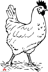High resolution, print quality digital files available: Chickens Clipart Black And White Chickens Black And White Transparent Free For Download On Webstockreview 2021