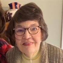 Susan Pfeil Harvey Obituary (2025)